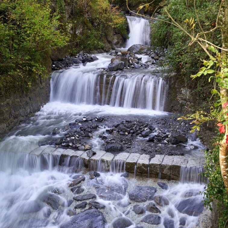 Table ronde sur l'eau dans le Parc naturel régional de la vallée du Trient